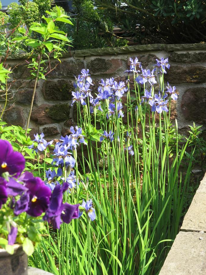 Bed and Breakfast Rock Farm Tarporley Exterior foto